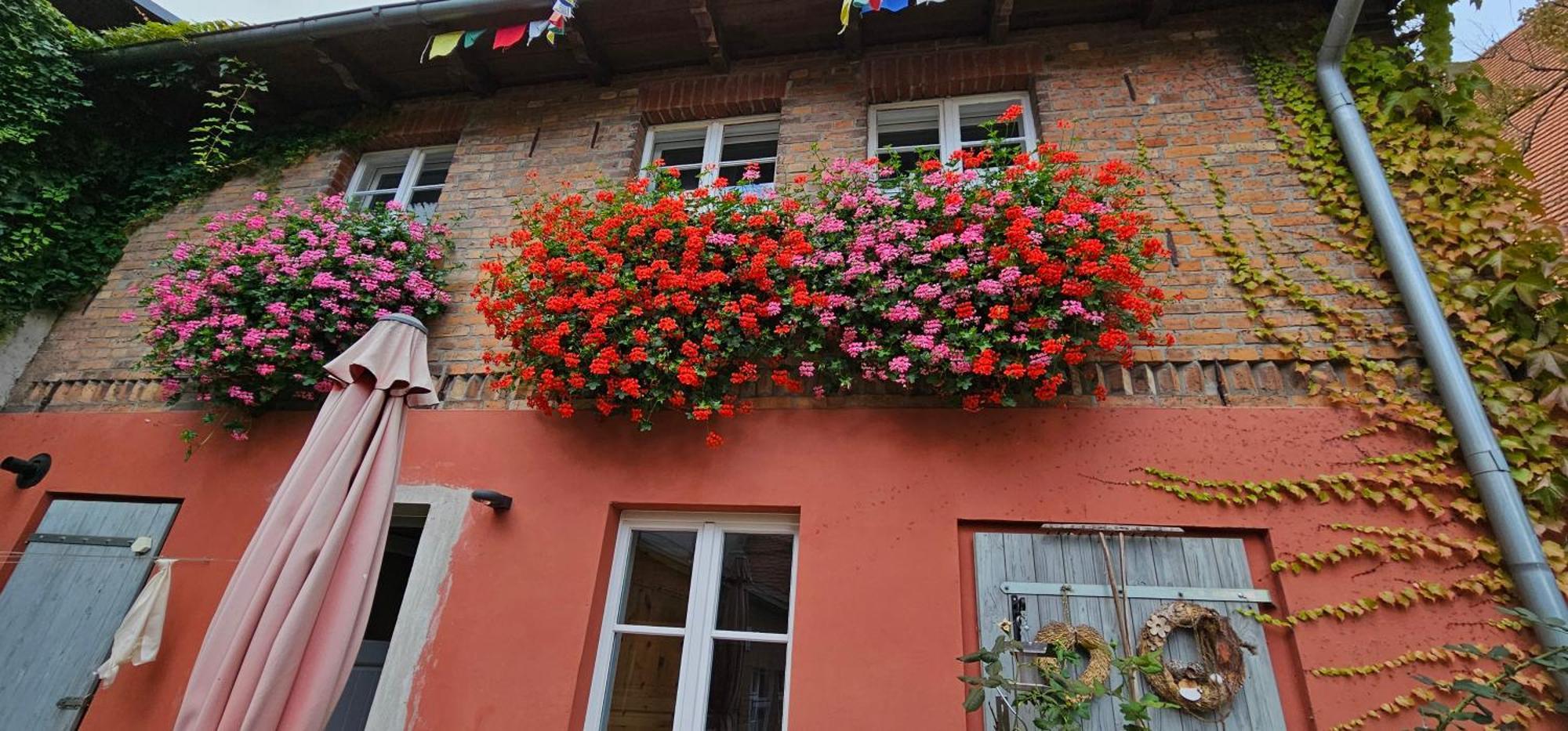 Ferienhaus In Der Historischen Altstadt Von Angermuende Angermunde Exterior foto